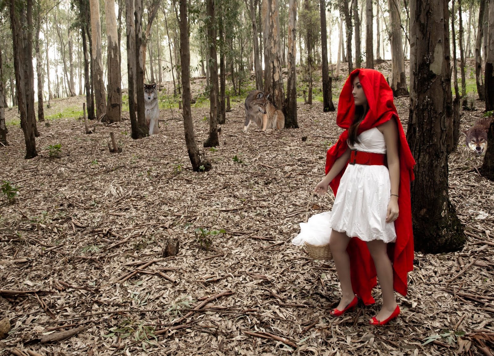 otra mirada a la fotografia: PLANOS Y ANGULACONES